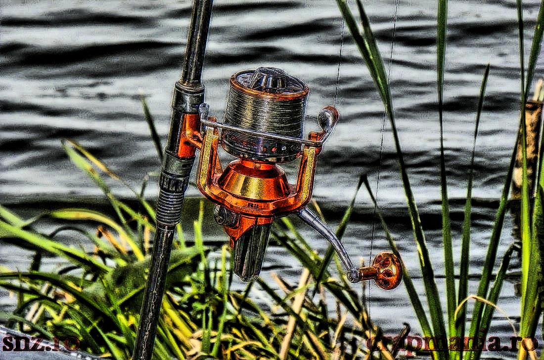 Cupa Seniorilor 2013 - 1011116hdrmode2.JPG